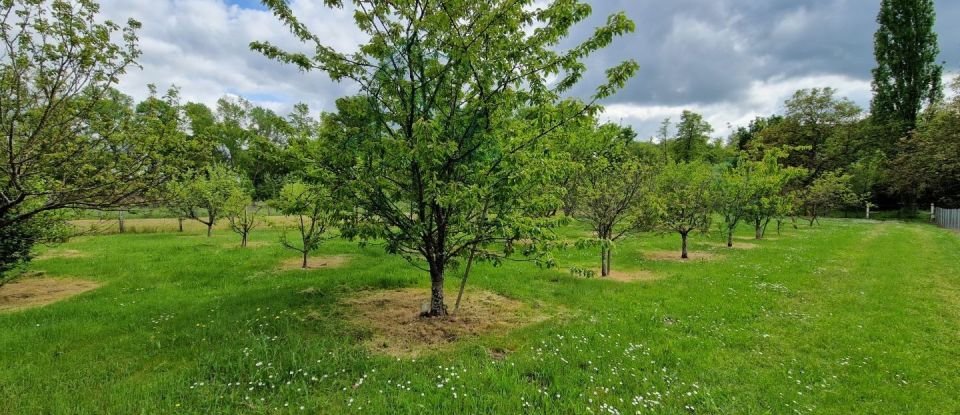 Maison 8 pièces de 175 m² à Poilly-lez-Gien (45500)