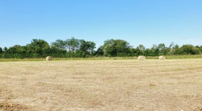 Maison 4 pièces de 138 m² à La Chapelle-du-Bois (72400)