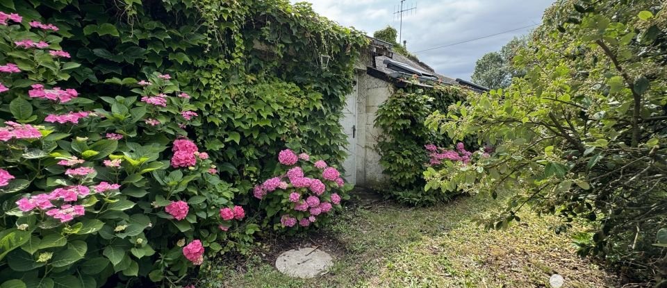 Maison de campagne 7 pièces de 128 m² à Chouzé-sur-Loire (37140)