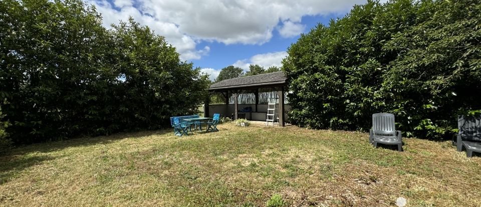 Country house 7 rooms of 128 m² in Chouzé-sur-Loire (37140)