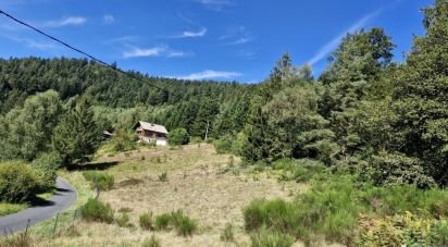 Land of 1,995 m² in Le Tholy (88530)