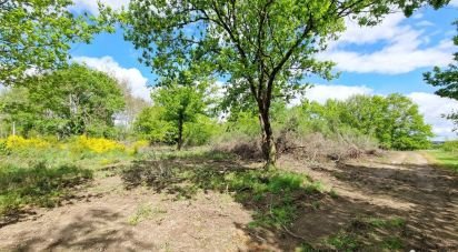 Maison 4 pièces de 110 m² à Saint-Aignan-le-Jaillard (45600)