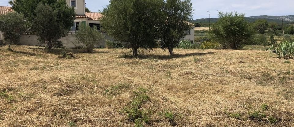 Land of 1,137 m² in Peyriac-de-Mer (11440)