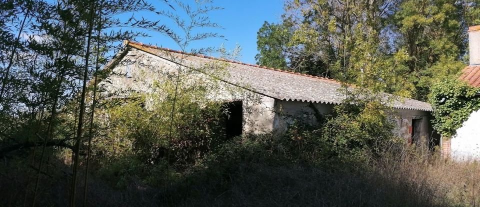 House 3 rooms of 95 m² in Le Perrier (85300)