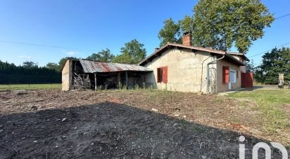 Maison 2 pièces de 71 m² à Montauban (82000)