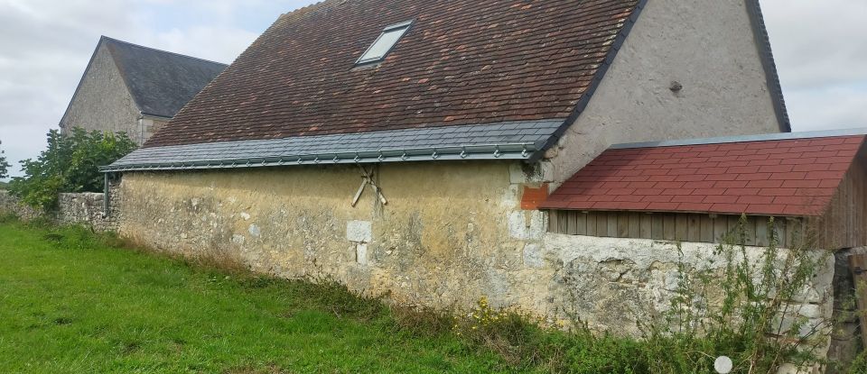 Longère 7 pièces de 213 m² à Dolus-le-Sec (37310)