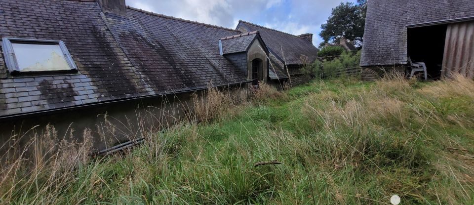 Longère 6 pièces de 110 m² à Coray (29370)