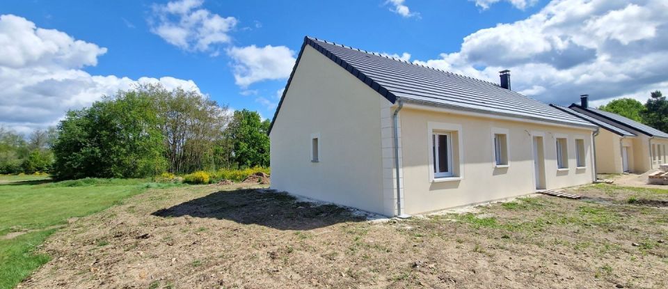 Maison 4 pièces de 108 m² à Sully-sur-Loire (45600)