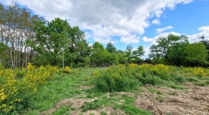 Maison 4 pièces de 108 m² à Sully-sur-Loire (45600)