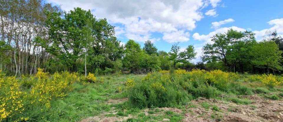 Maison 4 pièces de 108 m² à Sully-sur-Loire (45600)