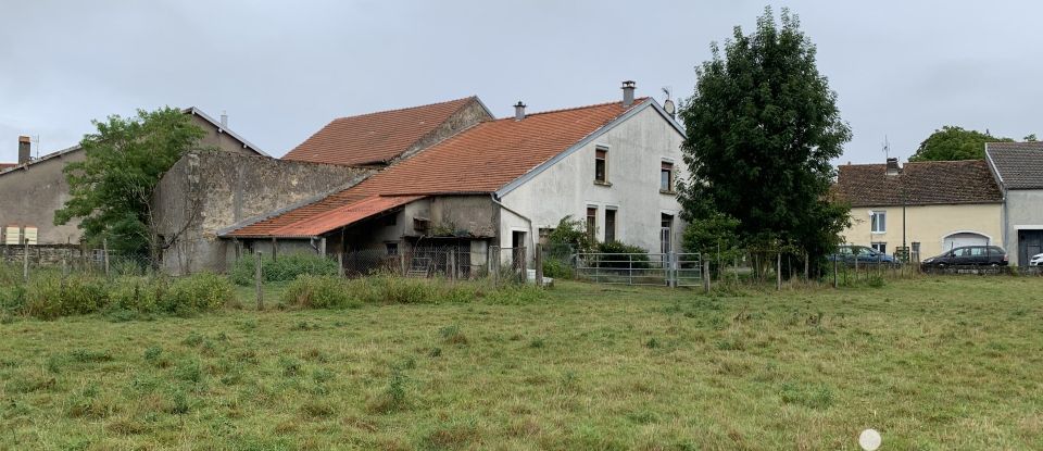 Maison 6 pièces de 145 m² à Breuvannes-en-Bassigny (52240)