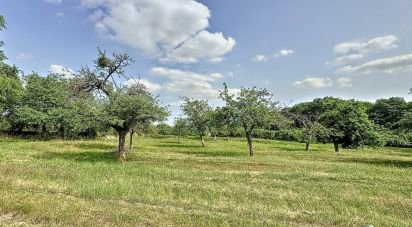 Land of 1,549 m² in La Selle-en-Hermoy (45210)