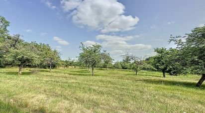 Land of 3,129 m² in La Selle-en-Hermoy (45210)