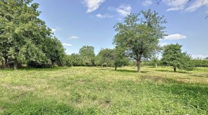 Terrain de 1 580 m² à La Selle-en-Hermoy (45210)