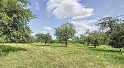 Terrain de 1 580 m² à La Selle-en-Hermoy (45210)