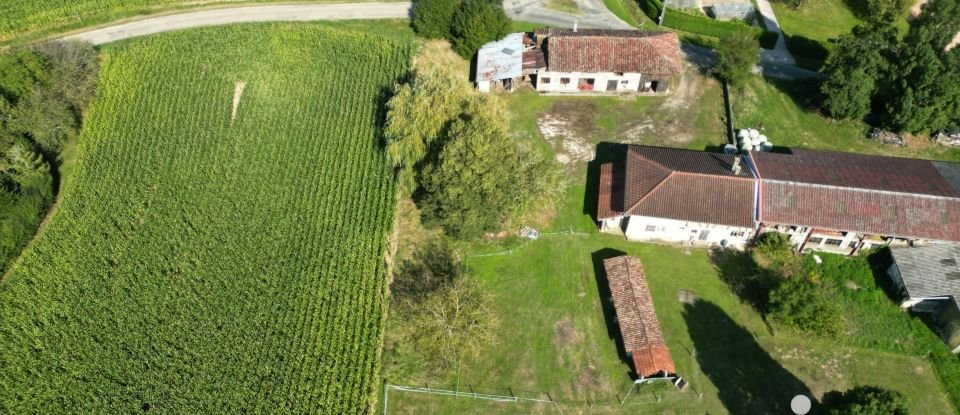 Land of 1,081 m² in Polliat (01310)