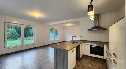 Maison traditionnelle 5 pièces de 119 m² à Sarreguemines (57200)