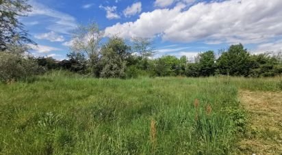 Terrain de 2 000 m² à Saint-Sulpice-la-Pointe (81370)