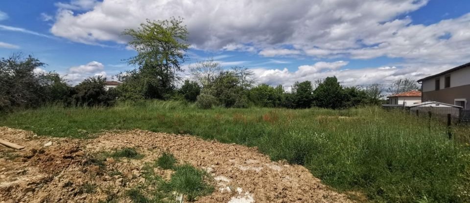 Terrain de 2 000 m² à Saint-Sulpice-la-Pointe (81370)