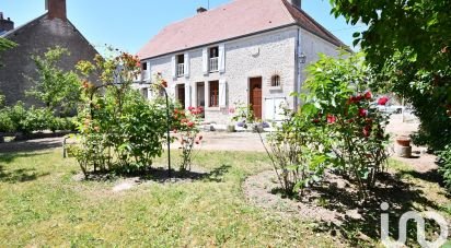 Ferme 9 pièces de 252 m² à Josnes (41370)