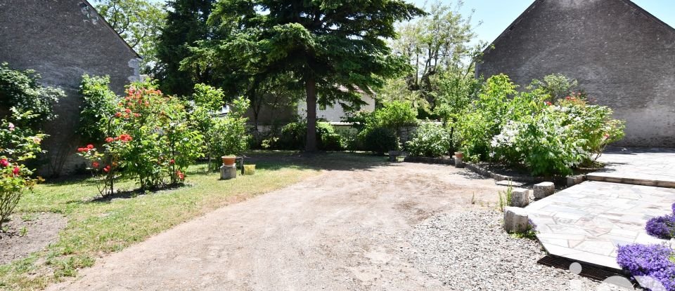 Ferme 9 pièces de 252 m² à Josnes (41370)