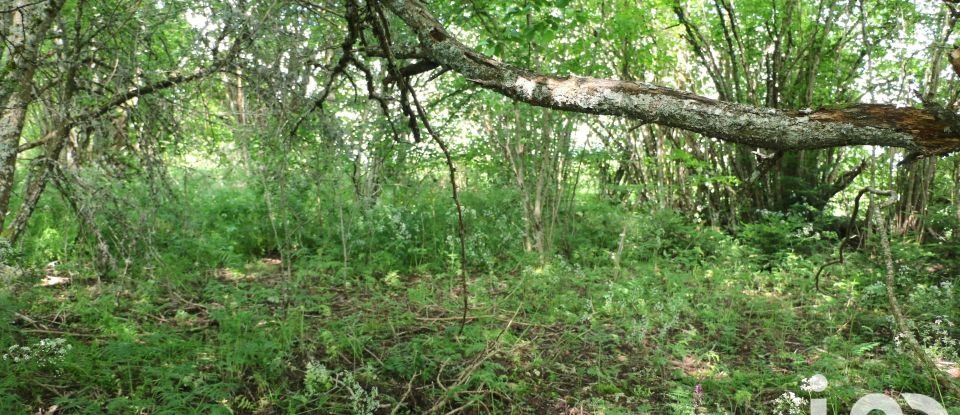 Maison de campagne 3 pièces de 120 m² à Laval-sur-Doulon (43440)