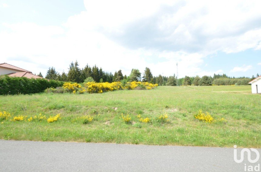 Land of 7,750 m² in Estivareilles (42380)