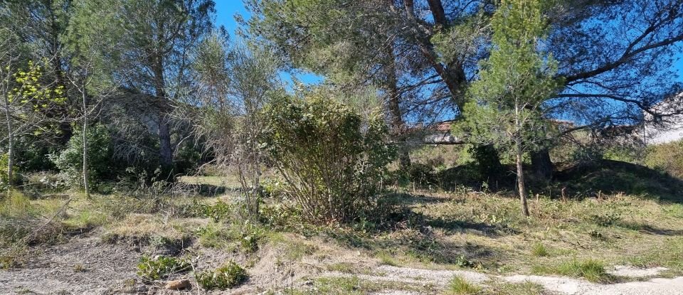 Terrain de 1 318 m² à Villeneuve-les-Corbières (11360)