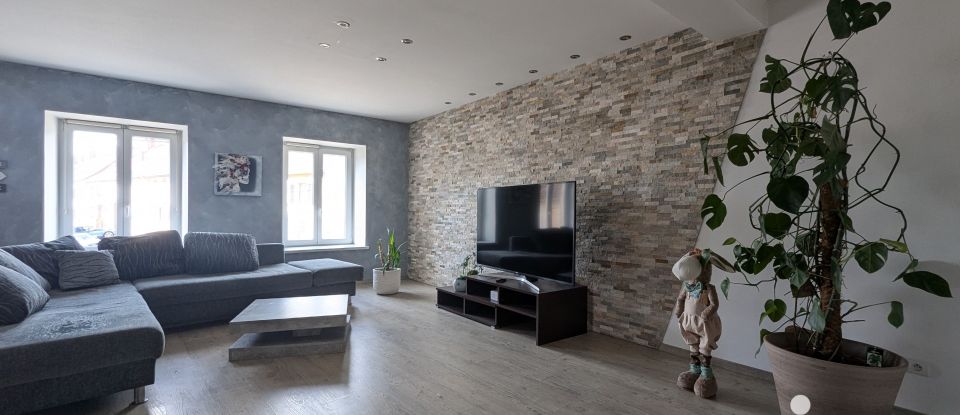 Immeuble de 238 m² à Berthelming (57930)