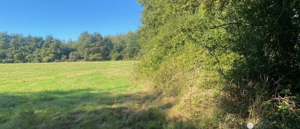 Terrain Loisirs de 4 448 m² à LE PUISET-DORÉ (49600)