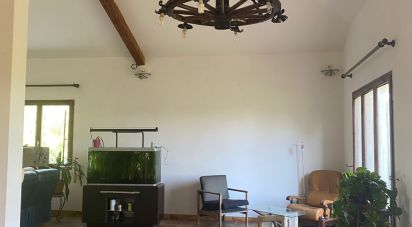 House 8 rooms of 240 m² in Auriac-sur-Vendinelle (31460)