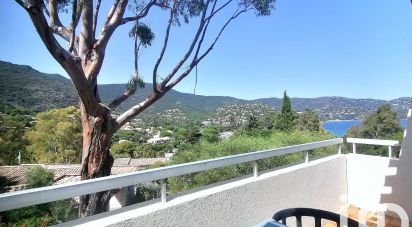 Apartment 2 rooms of 24 m² in Le Lavandou (83980)