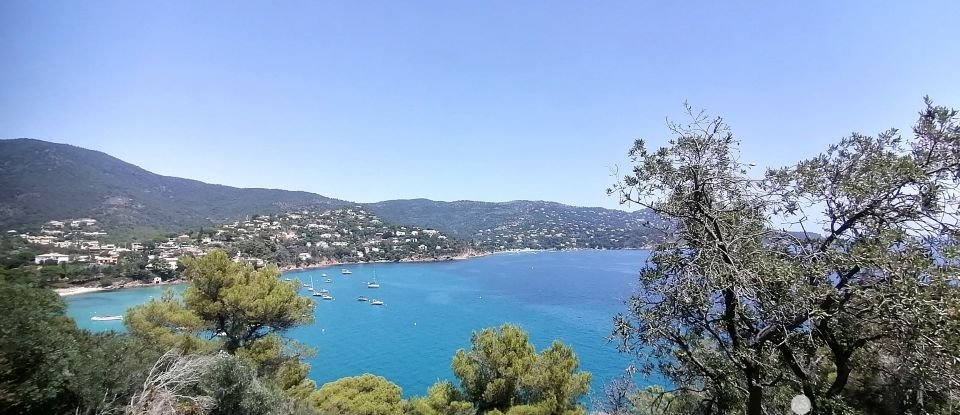 Apartment 2 rooms of 24 m² in Le Lavandou (83980)