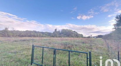 Terrain Loisirs de 5 091 m² à Saint-Benoît-sur-Loire (45730)