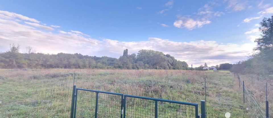 Terrain Loisirs de 5 091 m² à Saint-Benoît-sur-Loire (45730)