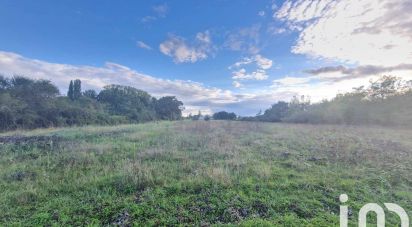 Terrain Loisirs de 5 091 m² à Saint-Benoît-sur-Loire (45730)