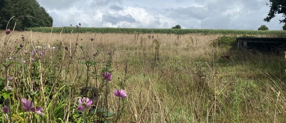 Maison rustique 3 pièces de 69 m² à Plonévez-du-Faou (29530)