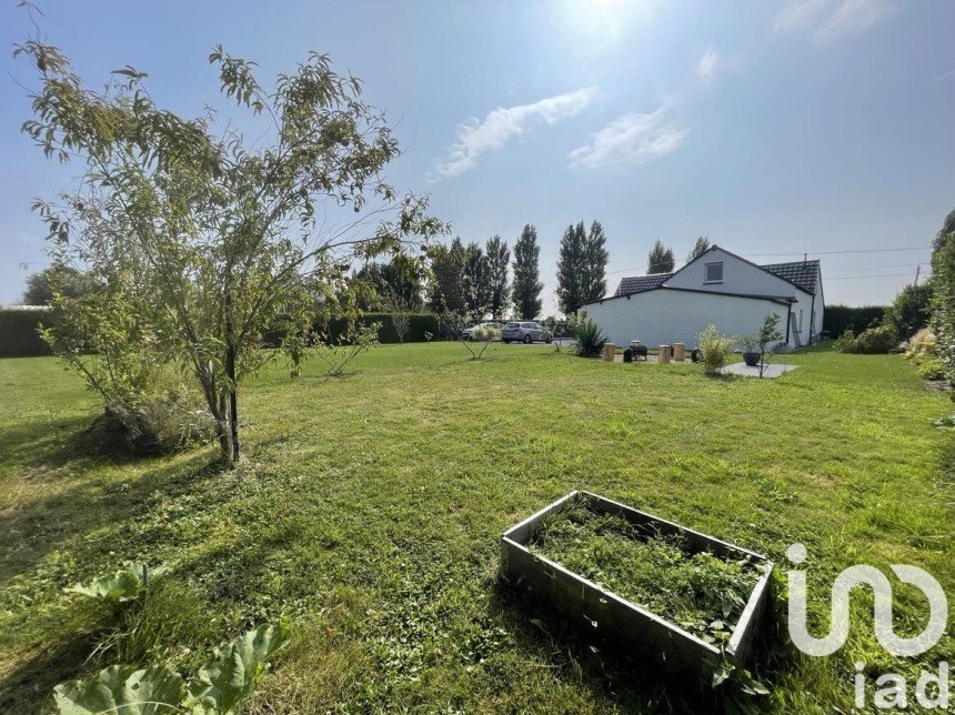 Pavillon 4 pièces de 137 m² à Sainte-Marie-Kerque (62370)