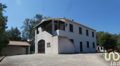 Maison traditionnelle 7 pièces de 215 m² à Canale-di-Verde (20230)