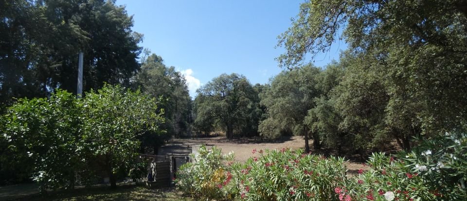 Maison traditionnelle 7 pièces de 215 m² à Canale-di-Verde (20230)