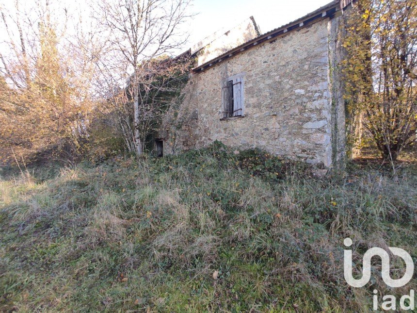 Barn conversion 2 rooms of 150 m² in Naves (19460)