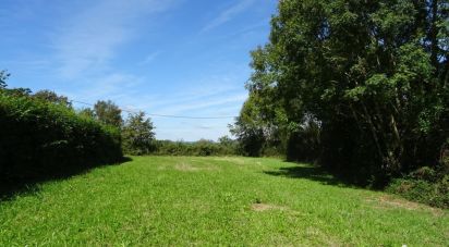 Terrain de 1 710 m² à Laguinge-Restoue (64470)