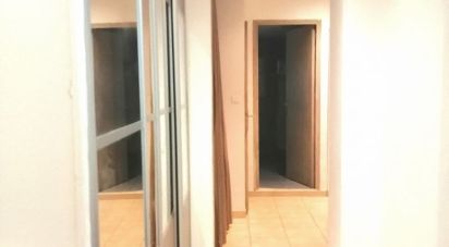 Appartement 4 pièces de 78 m² à Besse-sur-Issole (83890)