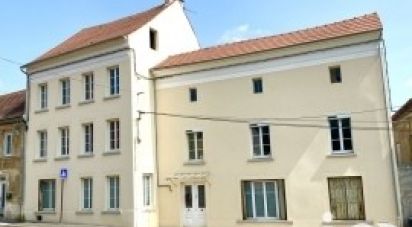 Maison 9 pièces de 250 m² à Luzancy (77138)