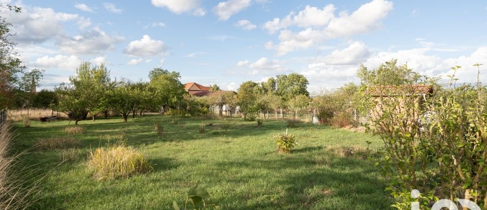 Maison traditionnelle 5 pièces de 124 m² à Haraucourt (54110)