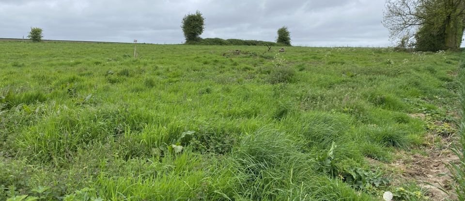 Maison 4 pièces de 100 m² à Sassetot-le-Malgardé (76730)