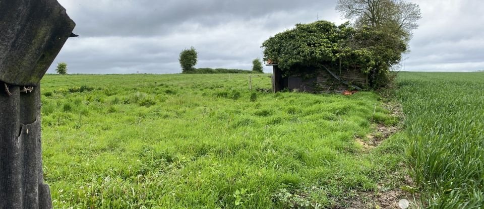 Maison 4 pièces de 100 m² à Sassetot-le-Malgardé (76730)