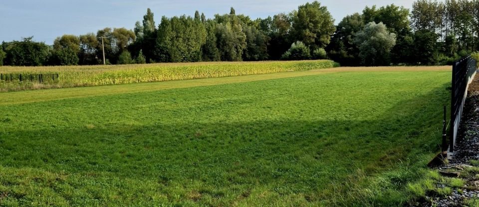 Domaine 10 pièces de 300 m² à Nivelle (59230)