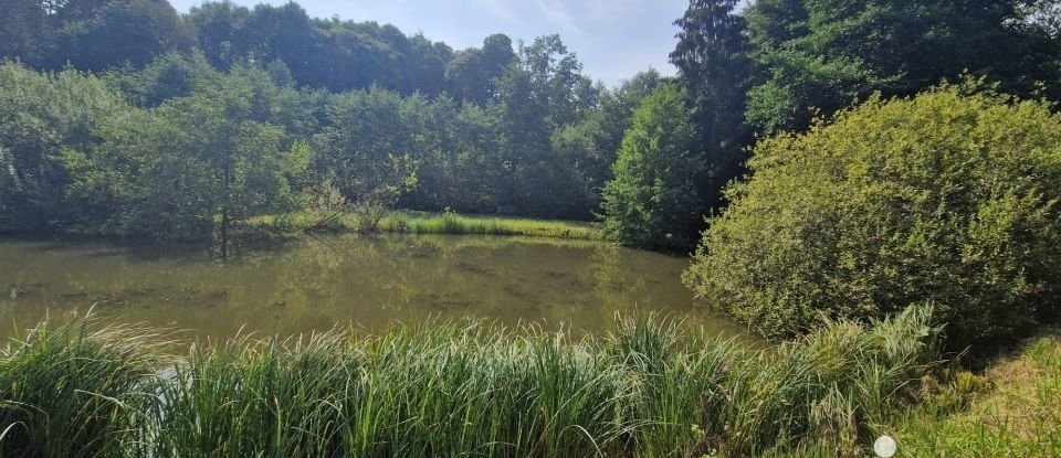 Terrain Loisirs de 10 000 m² à Bourguignon-sous-Montbavin (02000)