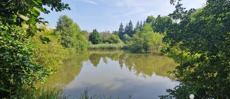 Terrain Loisirs de 10 000 m² à Bourguignon-sous-Montbavin (02000)